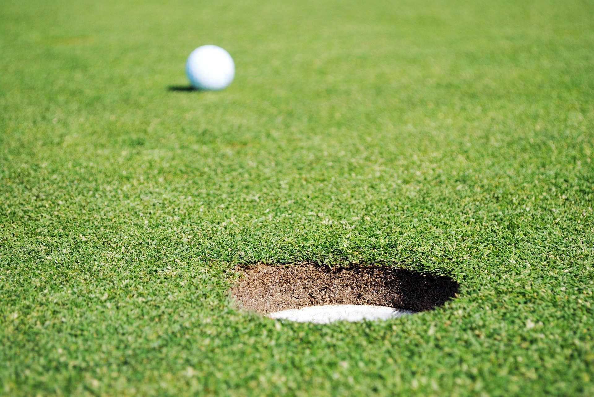 King & Bear – World Golf Village